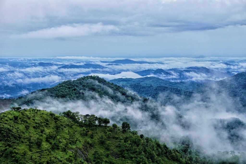 Kerala: A Virtual Tour Of God's Own Country