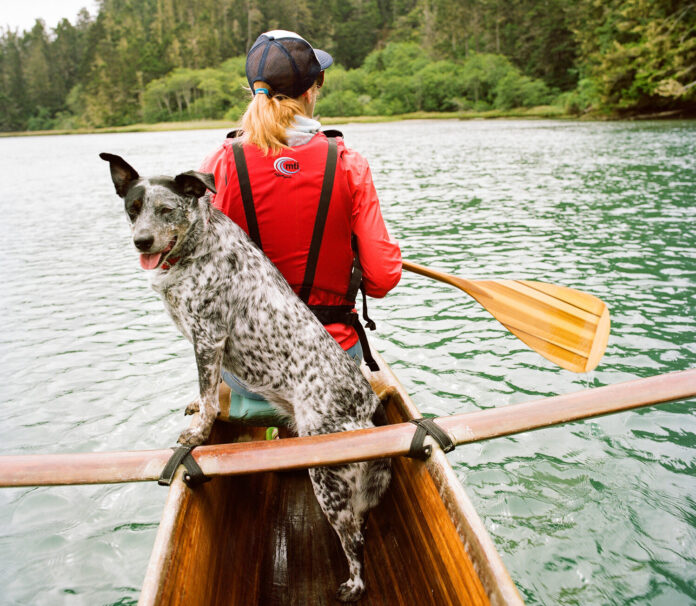 5 Big Reasons To Opt For Pet-friendly Vacations