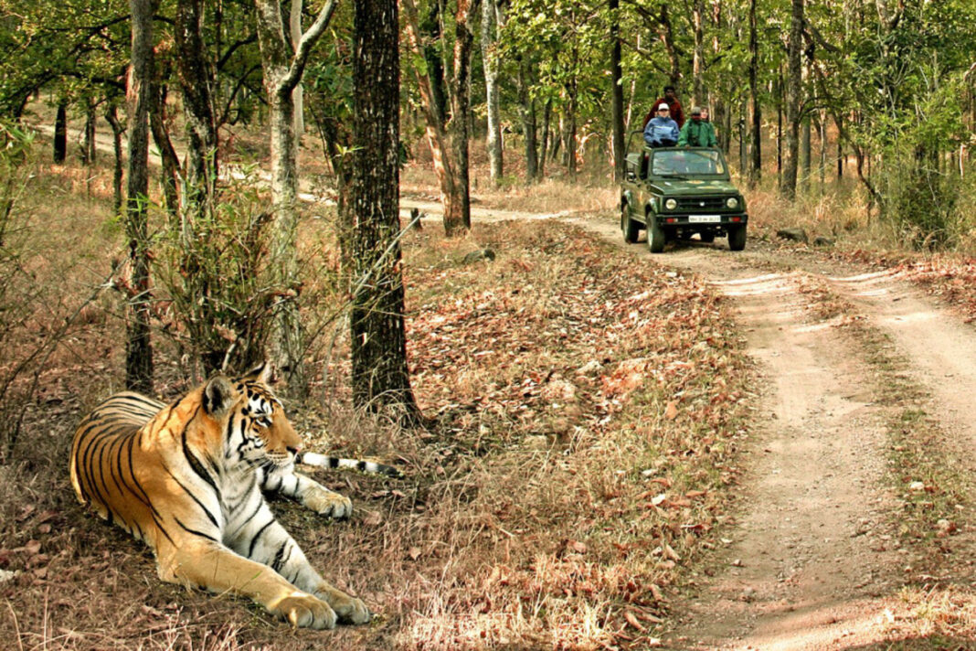 Madhya Pradesh - 5 Best National Park - Your Travel Guide & Trip ...