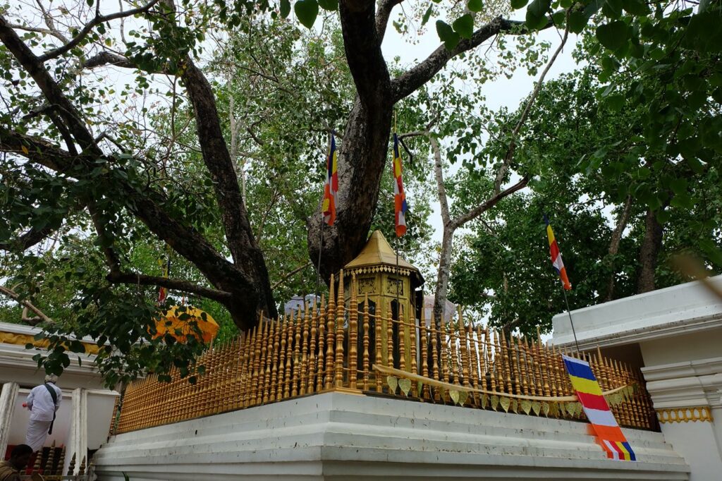 Buddhists Sites