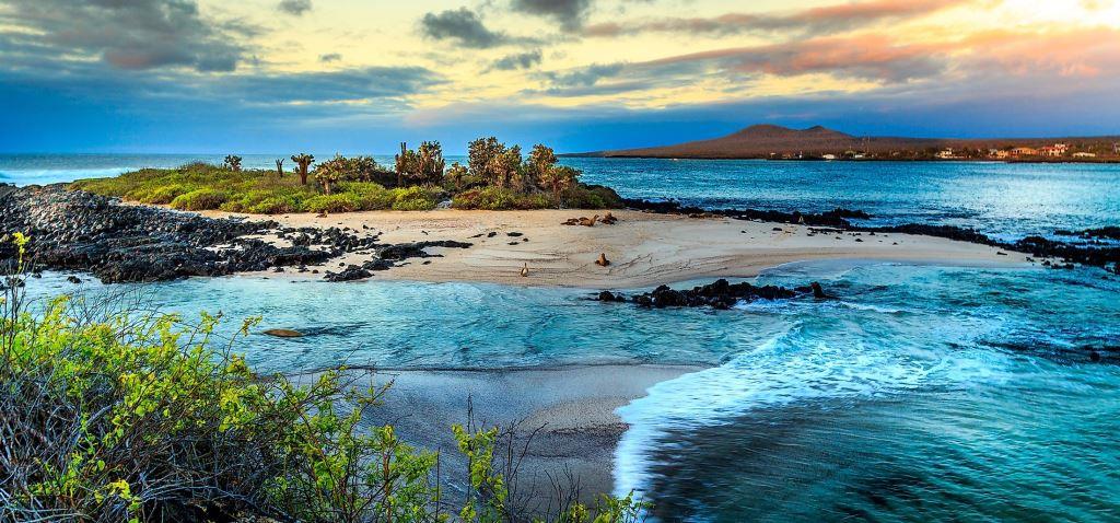 The Galapagos Island
