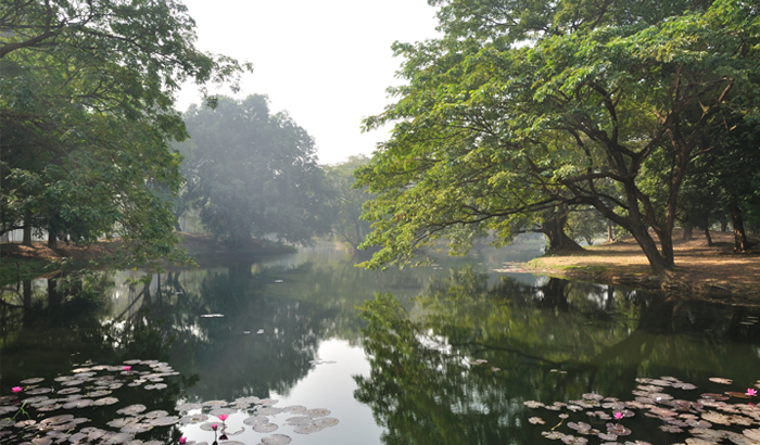 Botanical Gardens in India