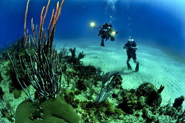 Scuba diving in the USA
