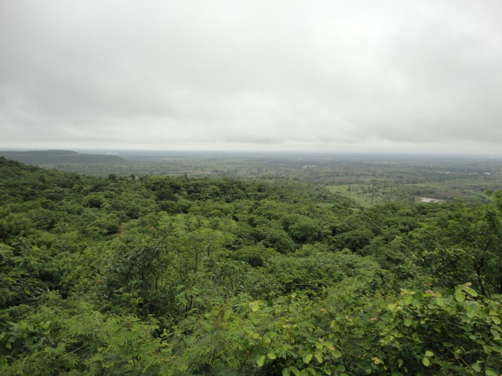 Ananthagiri Hills A Haven for Nature Lovers TheTravelShots