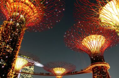 Gardens by the Bay