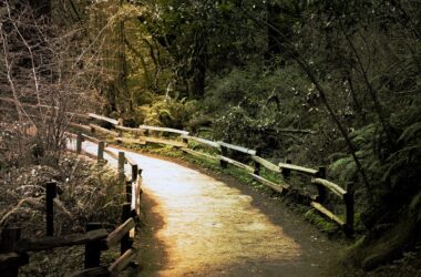 Hikes in Northern California