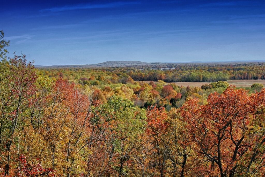 The Best Places to See Fall Colors in Arkansas A Comprehensive Guide