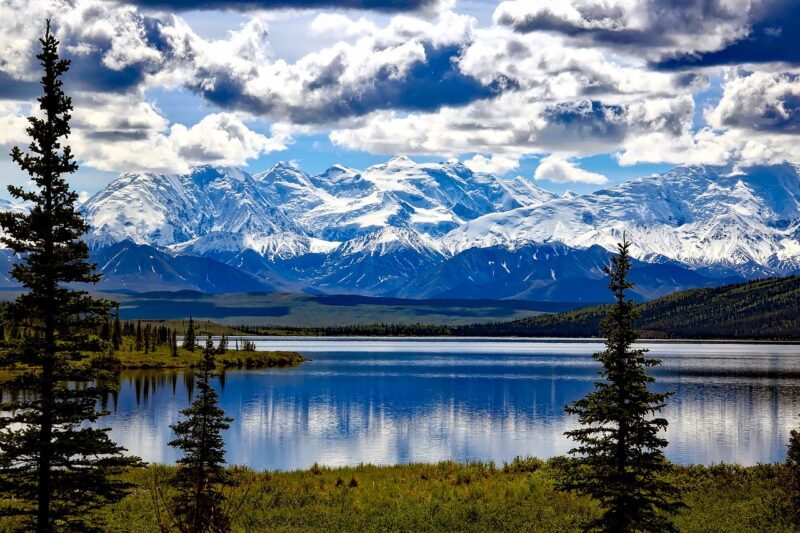 Spots to See in Denali National Park