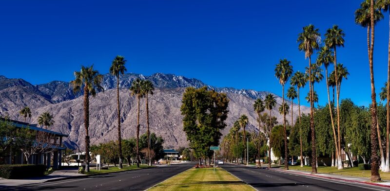 Best Time To Visit Palm Springs