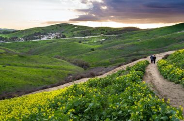 Chino Hills State Park