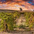 Things to Do in Paso Robles