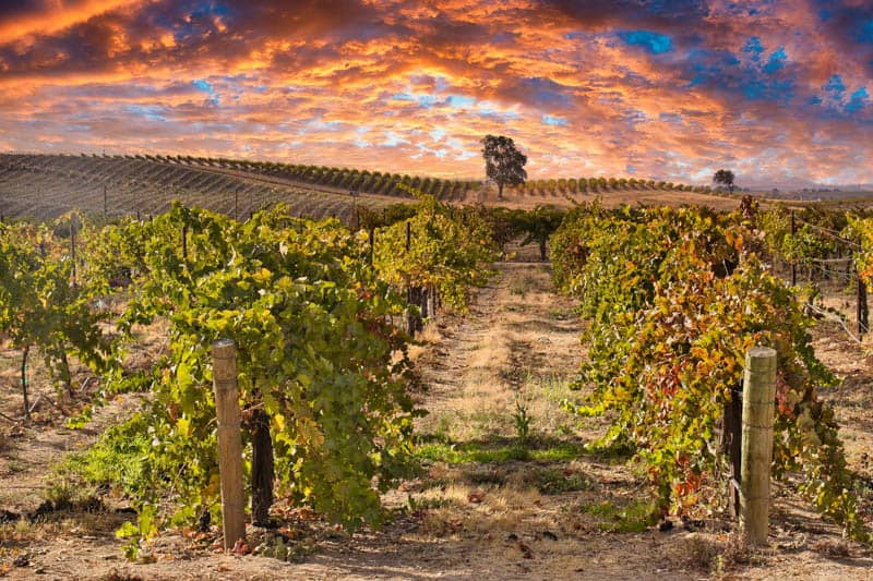 Things to Do in Paso Robles
