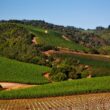 Climate in California's Wine Country