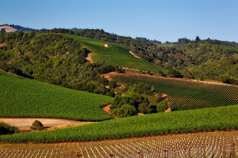 Climate in California's Wine Country