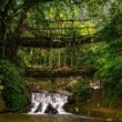 Double Decker Living Root Bridge