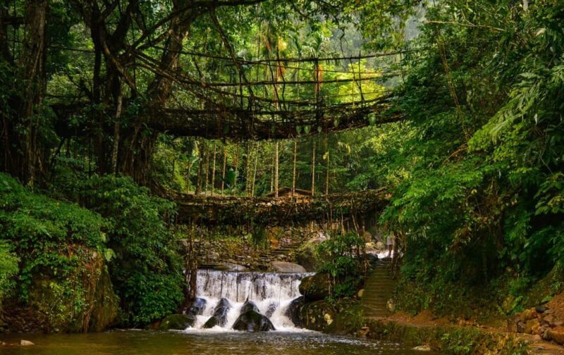 Double Decker Living Root Bridge