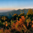 Eaglenest Wildlife Sanctuary
