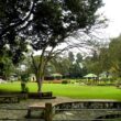 Lady Hydari Park