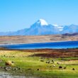 Mansarovar Lake