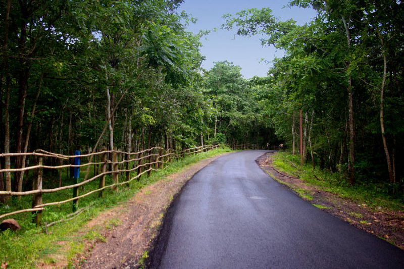 Maredumilli