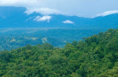 Namdapha National Park Guide