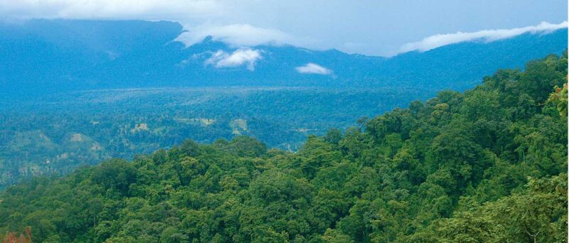 Namdapha National Park Guide