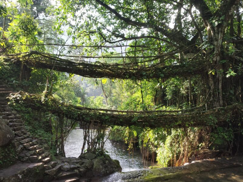 Places to Visit in Cherrapunji - | TheTravelShots