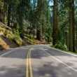 Redwood Highway