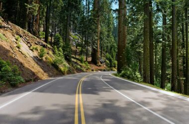Redwood Highway