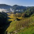 Ziro Valley