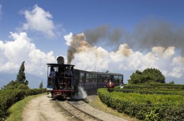 Best Time to Visit Darjeeling
