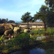 San Francisco Zoo