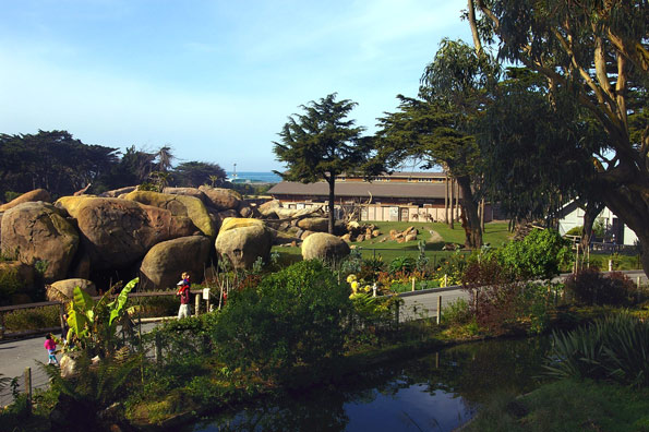 San Francisco Zoo