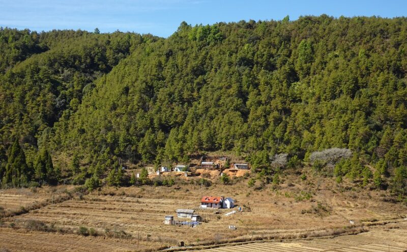 Best Time to Visit Meghalaya