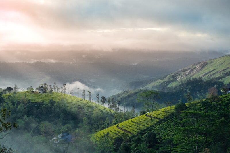 Best Time to Visit Munnar