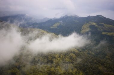 Best Time to Visit Wayanad