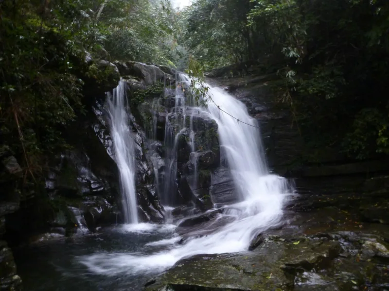 Bach Ma National Park