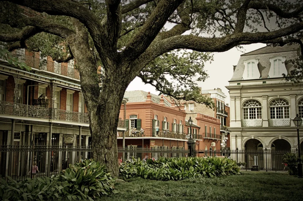 Weather in New Orleans