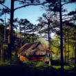 Dalat