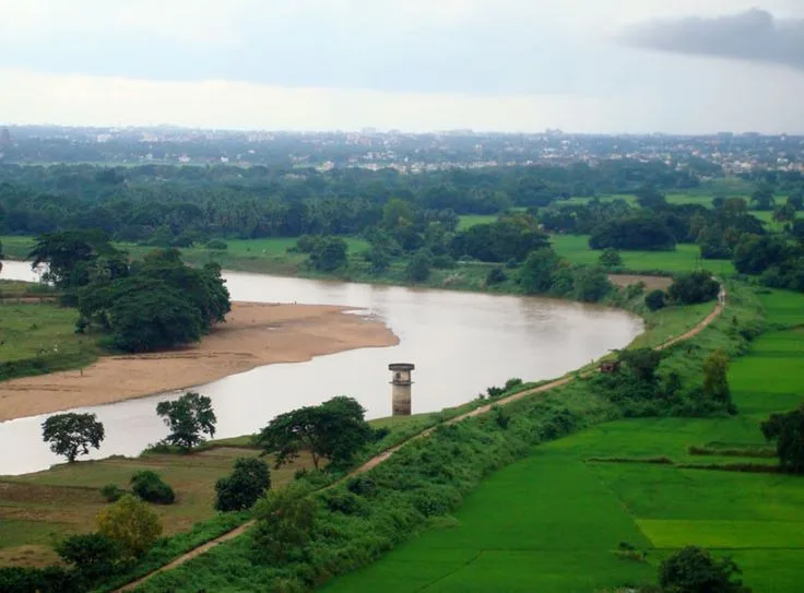 Daya River: Exploring the Historical and Ecological Treasure ...