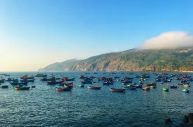 Quy Nhon