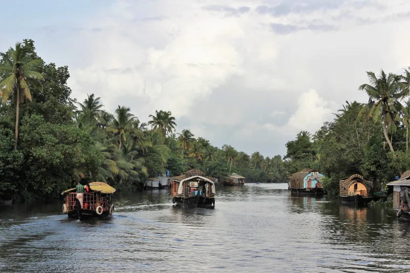 Discover Kerala