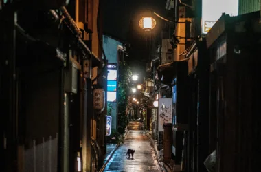 Pontocho Alley