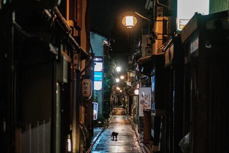 Pontocho Alley