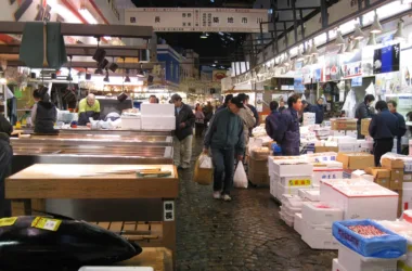 Tsukiji Market