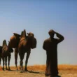 Silk Road Adventures