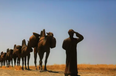 Silk Road Adventures
