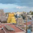 parthasarathy temple