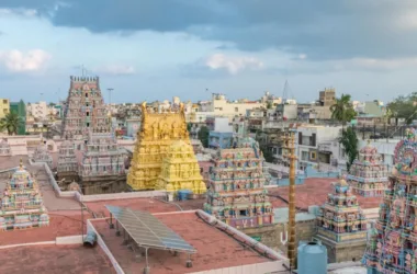 parthasarathy temple