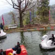 Company Garden Mussoorie